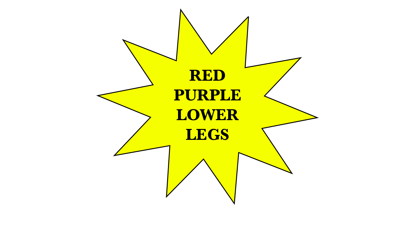 Red purple lower legs